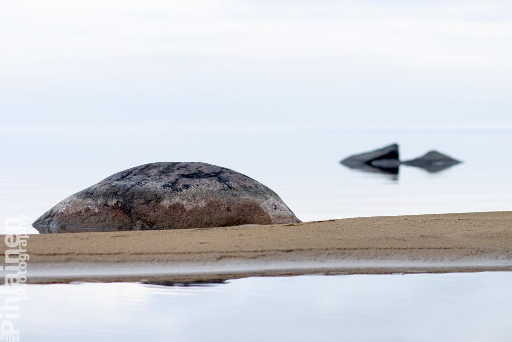 Tyyni Oulujärvi, etualalla hiekkasärkkä ja kivi, taka-alalla lisää kiviä.