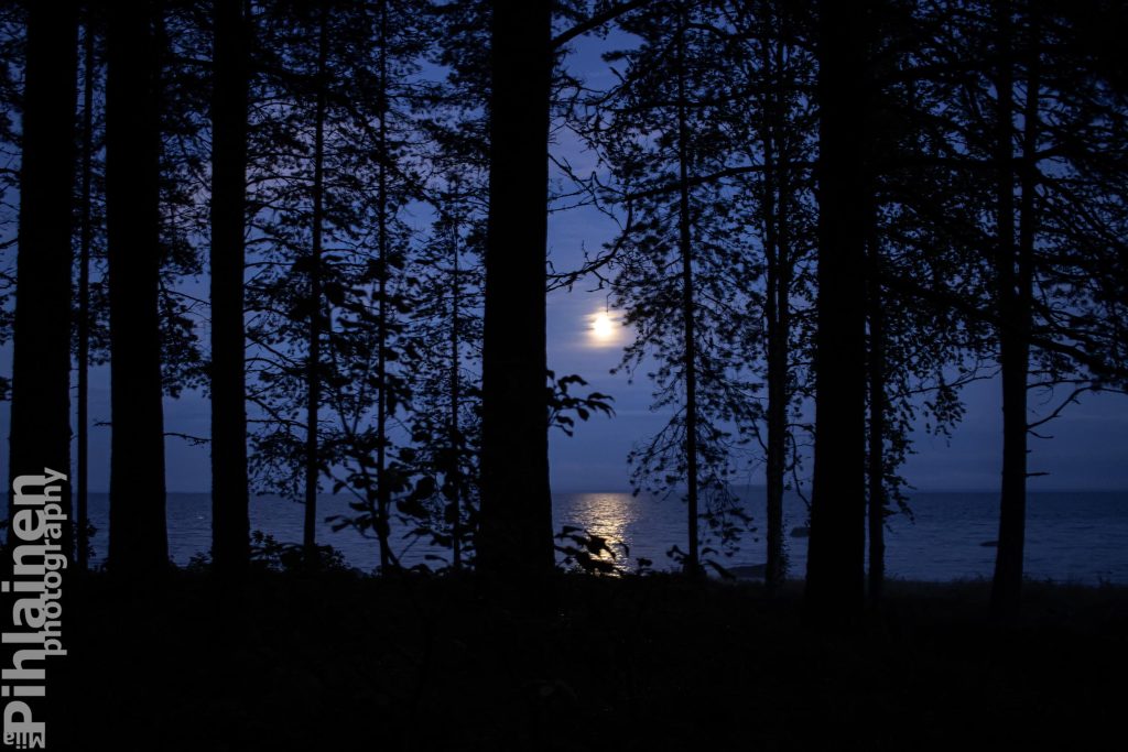 Kuutamo ja sen heijastus järvenpinnassa puiden takana.