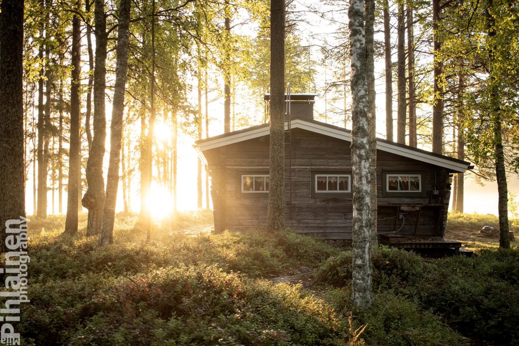 Mökki puiden keskellä. Aamuaurinko paistaa mökin takana.