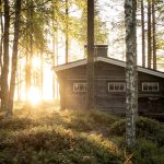 Mökki puiden keskellä. Aamuaurinko paistaa mökin takana.