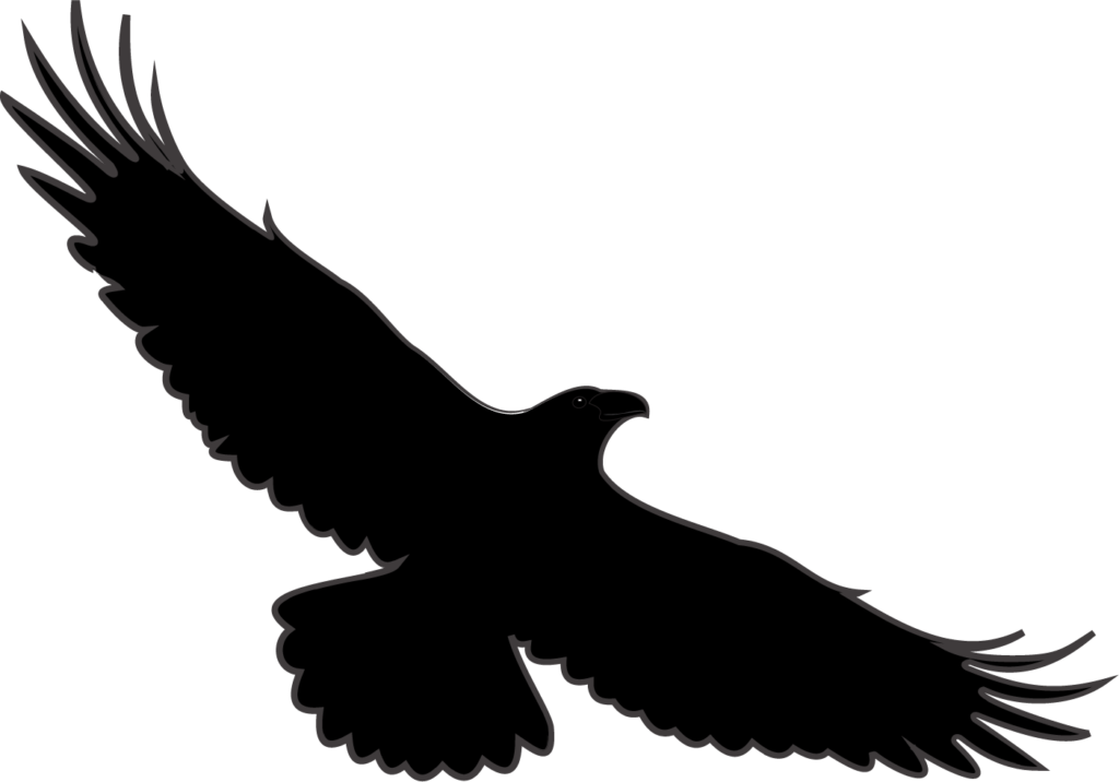 Lentävän korpin silhuetti. Korppi kuvattu alaviistosta, eli lentää vatsapuoli katsojaa kohden.